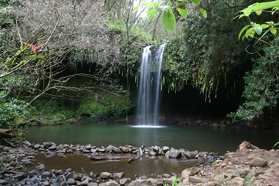 Twin Falls in Maui