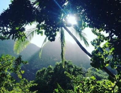 Iao valley 1-min